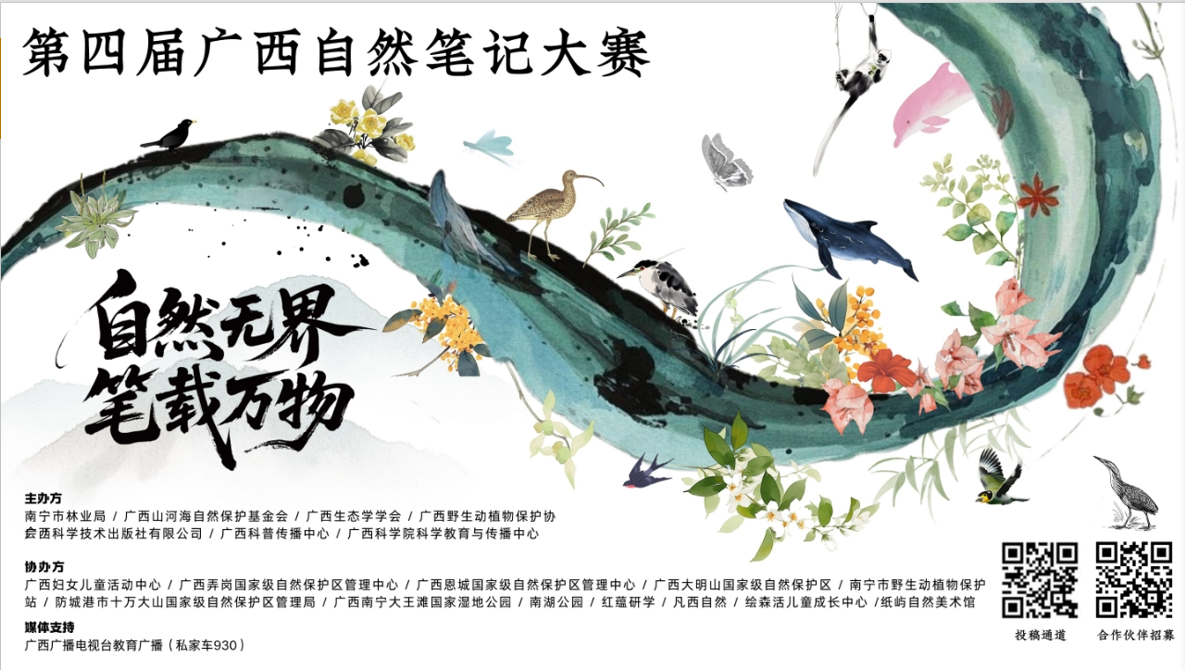 4321ecb3-5d6b-4136-b52f-47715329ff5c.png
