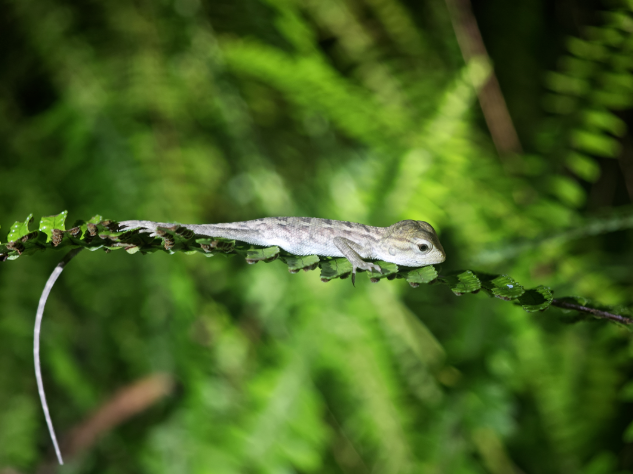 b57094f6-28c5-4b6e-8b46-cfee5db6cefb.png