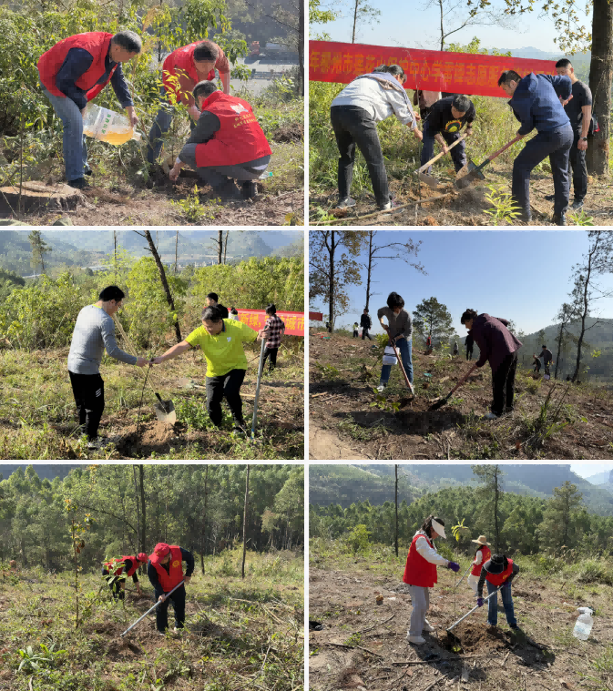 DM_20260806152809_002(1).png